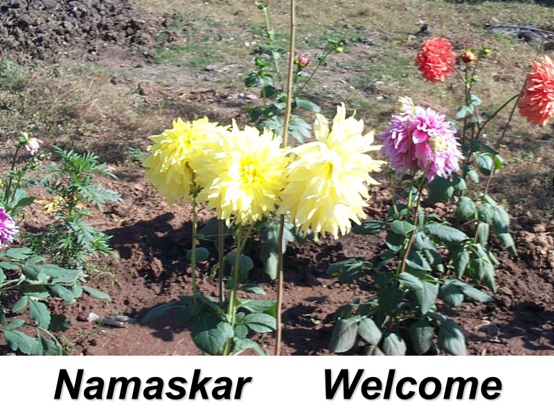 Namaskar      Welcome